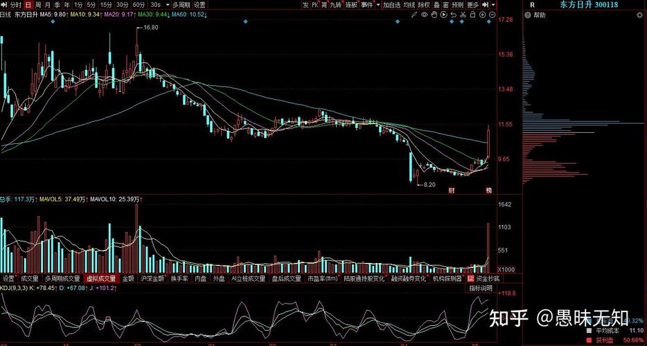 日本视频免费三区 纯肉高H啪动漫网入口